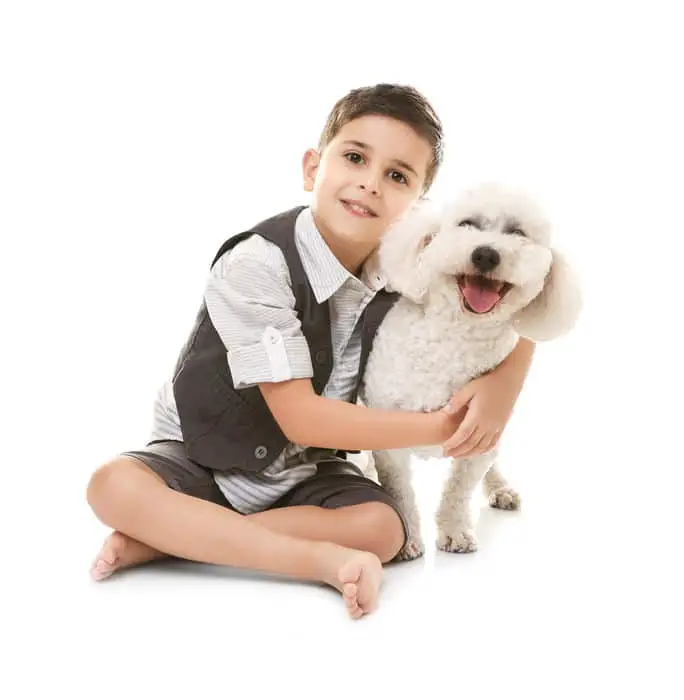 Little boy and bichon frise dog